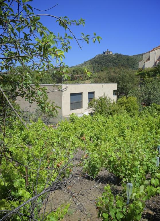 Le Clos Saint Elme Collioure Exterior photo